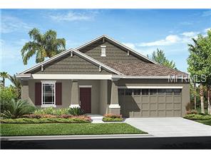 12103 Rambling Stream Dr, Riverview, FL 33569 photo 1