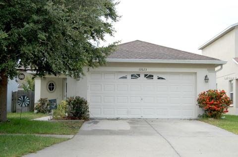 12623 Evington Point Dr, Riverview, FL 33579 photo 1