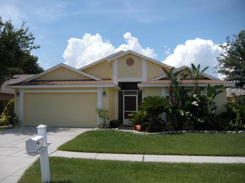 11617 Wellman Dr, Riverview, FL 33578 photo 1