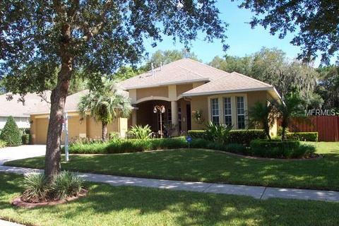 410 Apache Ln, Seffner, FL 33584 photo 1