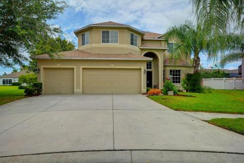 1851 Sweetspire Dr, Trinity, FL 34655 photo 1