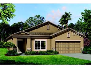 1732 Fox Grape Loop, Lutz, FL 33558 photo 1
