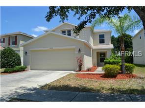 11234 Black Forest Trl, Riverview, FL 33569 photo 1