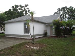 13337 Laraway Dr, Riverview, FL 33579 photo 1