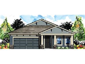 7003 Makers Way, Apollo Beach, FL 33572 photo 1