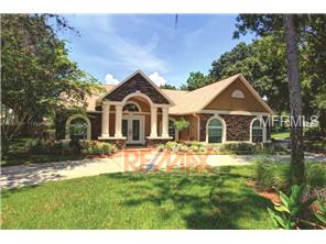 8809 Eagle Watch Dr, Riverview, FL 33578 photo 1