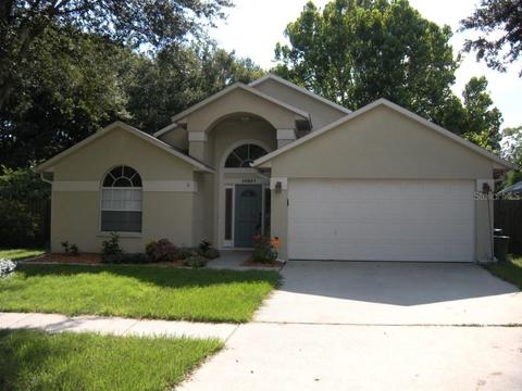 10907 Brucehaven Dr, Riverview, FL 33578 photo 1