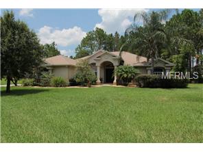 302 Pine Bluff Dr, Lutz, FL 33549 photo 1