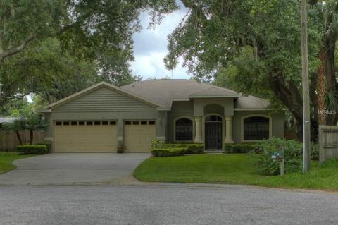 7403 Capitano Cv, Riverview, FL 33578 photo 1