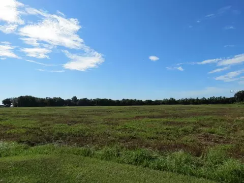 22131 Grange Hall Loop, Lithia, FL 33547 photo 1