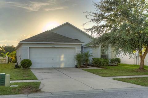 10030 Creek Bluff Dr, Riverview, FL 33578 photo 1