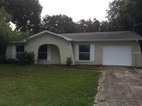 7404 Capitano St, Riverview, FL 33578 photo 1