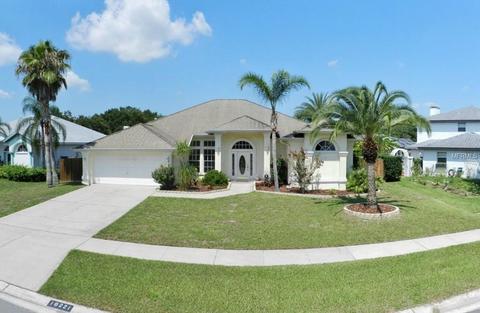 10221 Tarragon Dr, Riverview, FL 33569 photo 1