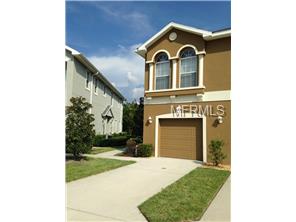 9030 Moonlit Meadows Loop, Riverview, FL 33578 photo 1