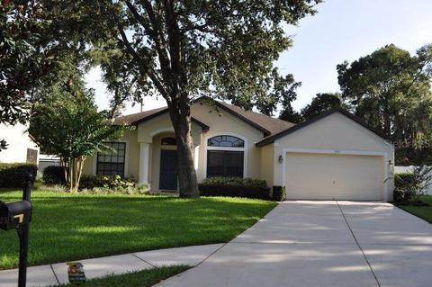 1925 Abbey Ridge Dr, Dover, FL 33527 photo 1