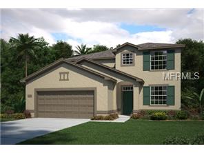 12411 Eagle Chase Way, Trinity, FL 34655 photo 1