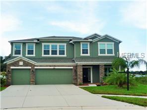 1802 Raven Manor Dr, Dover, FL 33527 photo 1