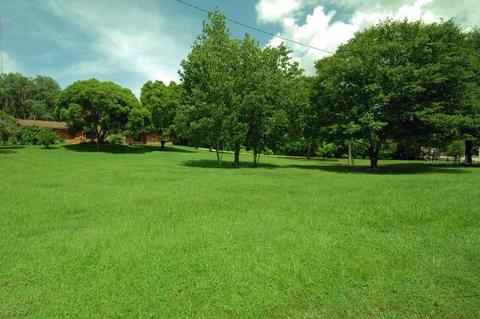13004 Shadow Run Blvd, Riverview, FL 33569 photo 1