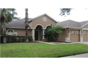 7269 Bucks Ford Dr, Riverview, FL 33578 photo 1