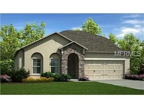 1974 Fox Grape Loop, Lutz, FL 33558 photo 1