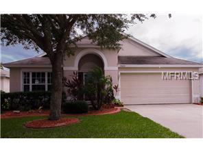 10435 Soaring Eagle Dr, Riverview, FL 33578 photo 1