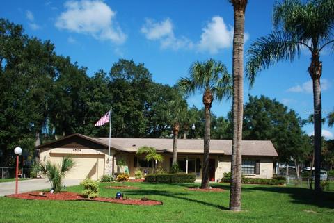 9504 River Cove Dr, Riverview, FL 33578 photo 1