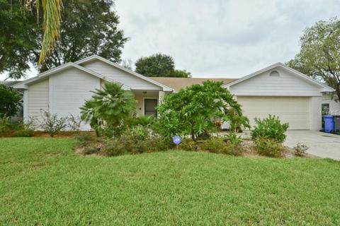 10115 Tarragon Dr, Riverview, FL 33569 photo 1