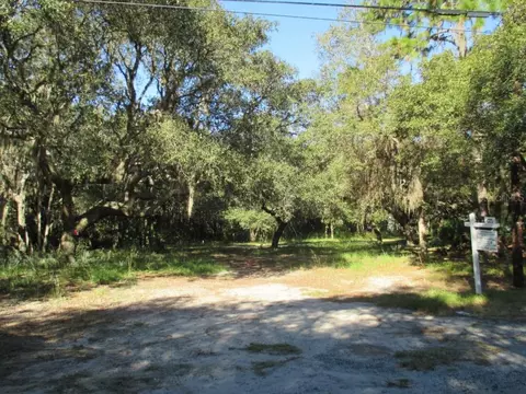 11501 Raulerson Rd, Riverview, FL 33569 photo 1