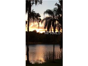 1414 Williams Rd, Lutz, FL 33558 photo 1