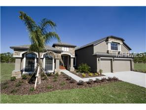 5319 Moon Shell Dr, Apollo Beach, FL 33572 photo 1