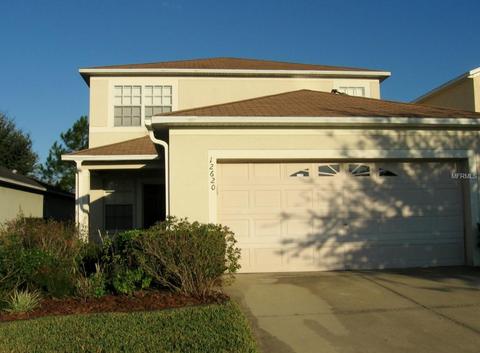12620 Adventure Dr, Riverview, FL 33579 photo 1