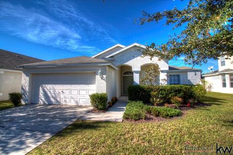 12348 Cedarfield Dr, Riverview, FL 33579 photo 1