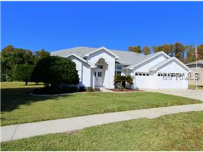 1529 Jutland Dr, Trinity, FL 34655 photo 1