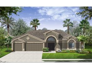 11634 Brighton Knoll Loop, Riverview, FL 33579 photo 1
