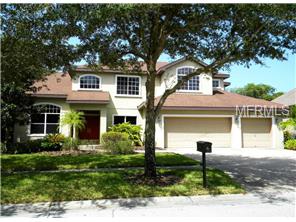 6209 Ibispark Dr, Lithia, FL 33547 photo 1