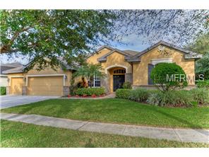 6120 Ibispark Dr, Lithia, FL 33547 photo 1