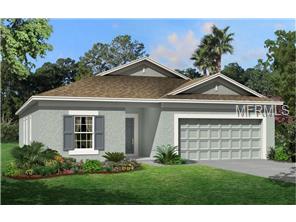1547 Fox Grape Loop, Lutz, FL 33558 photo 1