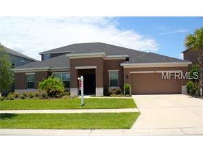 11409 Scribner Station Ln, Lithia, FL 33547 photo 1