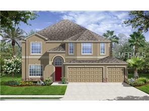 11635 Brighton Knoll Loop, Riverview, FL 33579 photo 1