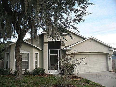12902 Tribute Dr, Riverview, FL 33569 photo 1