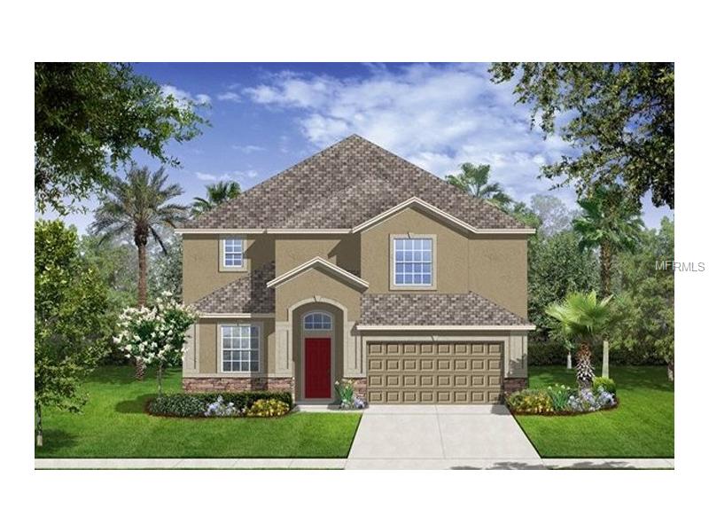 11621 Brighton Knoll Loop, Riverview, FL 33579 photo 1