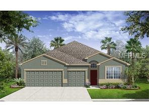 11627 Brighton Knoll Loop, Riverview, FL 33579 photo 1