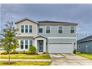 11555 Balintore Dr, Riverview, FL 33579 photo 1