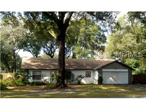 2115 Arch Mcdonald Dr, Dover, FL 33527 photo 1