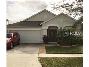 12333 Cedarfield Dr, Riverview, FL 33579 photo 1