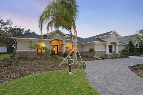 9746 Milano Dr, Trinity, FL 34655 photo 1