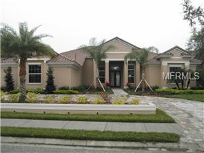 10000 Milano Dr, Trinity, FL 34655 photo 1