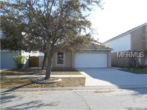 11502 Ivy Flower Loop, Riverview, FL 33578 photo 1