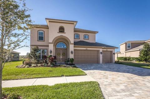 3329 Mapleridge Dr, Lutz, FL 33558 photo 1