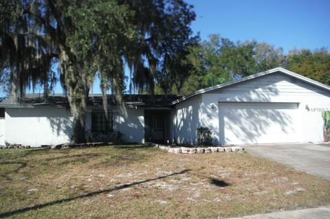 3910 Casaba Loop, Valrico, FL 33596 photo 1